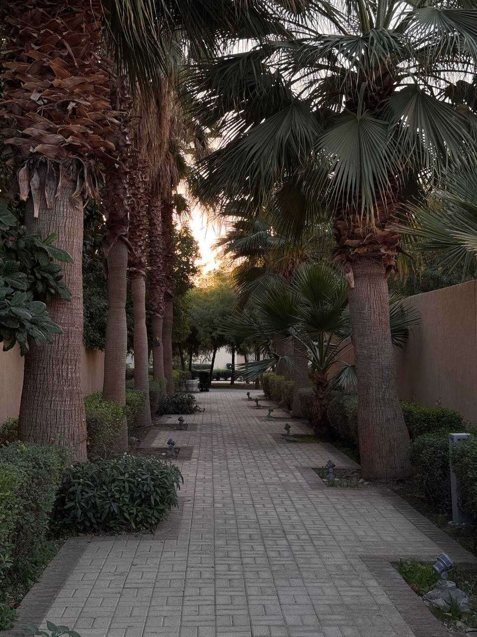 Фотография комплекса 12