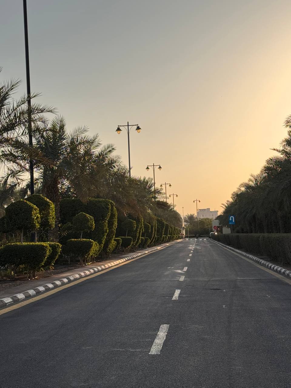 Фотография комплекса 5